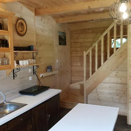 公寓 Zakodomki Pyzdra 考斯赛力克