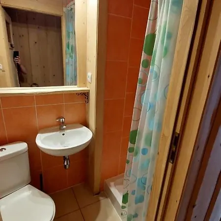 Zakodomki Pyzdra 考斯赛力克